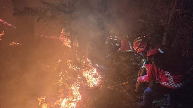 (사진제공=산림청)