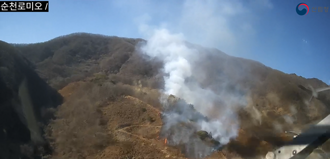 (사진제공=산림청)