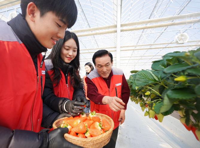 신세계푸드, 논산 딸기 협력 농가 봉사활동 실시