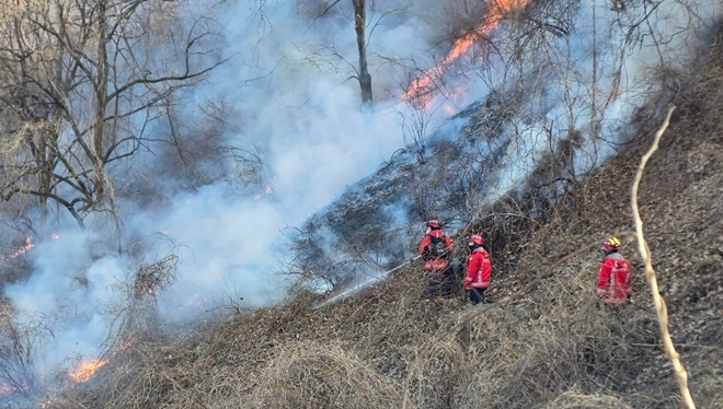 경북경주문무대왕면에서 산불진화하는 산불특수진화대원.(제공=산림청)