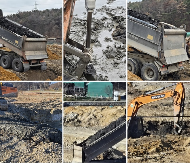 (사진제공=울산환경운동연합)