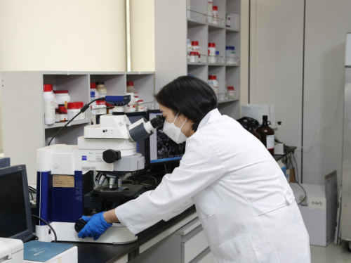 hy, 특허 유산균 HY2782 장 염증 예방 효과 국제학술지 게재