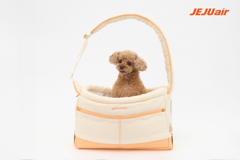 제주항공, 반려동물 동반 탑승객 명절·휴가때 최대 26% 증가