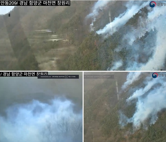 (사진제공=산림청)