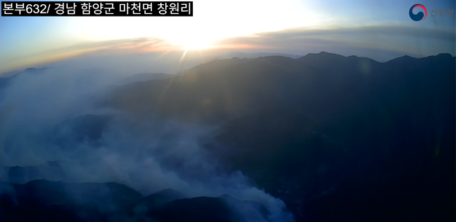 (사진제공=산림청)