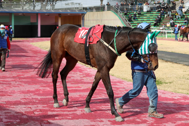 오는 8일 올해의 단거리 최강馬전 시작! 부산일보배 대상경주 개최