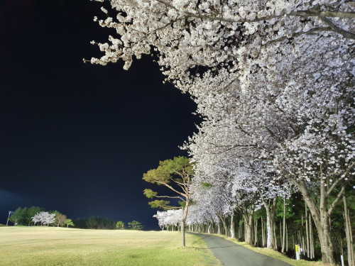 XGOLF, "봄 시즌 골프장 예약 문의 증가"