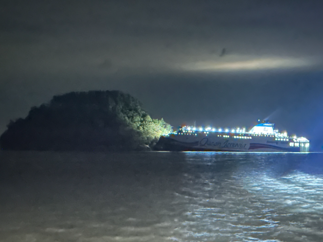 신안 장산도 해상서 좌초된 대형 여객선.(사진=독자 제공)