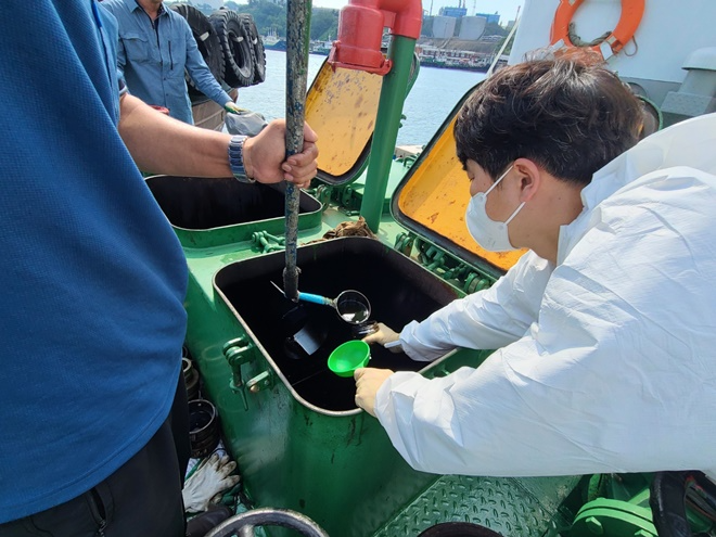 시료채취 모습.(제공=울산해양경찰서)