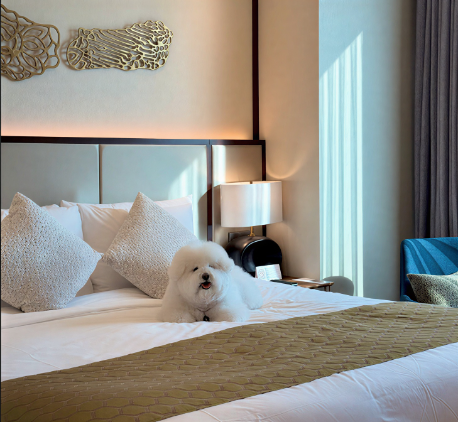 서울드래곤시티, '국제 강아지의 날' 맞아 반려견 동반 서비스 강화