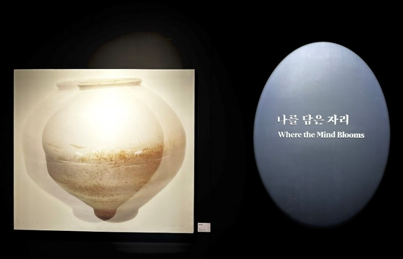 고영훈·이규, 달항아리 회화와 도자로 맞대면…모다갤러리 용산서 개막