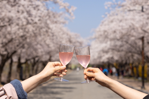 켄싱턴호텔앤리조트, 봄꽃 명소 연계 여행 기획전 진행