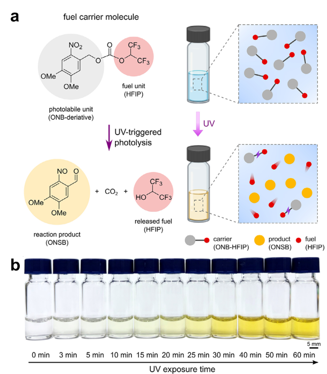 광화학 기반 연료 운반 분자의 설계 및 빛을 이용한 분자 분해 거동. 사진=한국연구재단