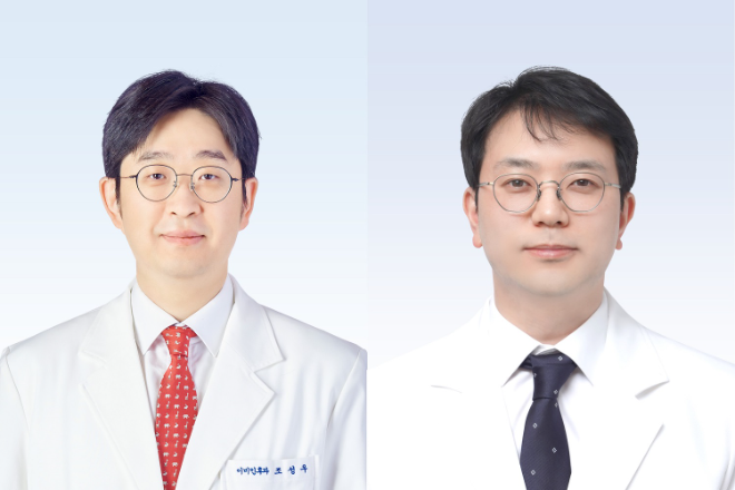 분당서울대병원 이비인후과 조성우 교수(좌), 신경외과 황기환 교수(우). 사진=분당서울대병원