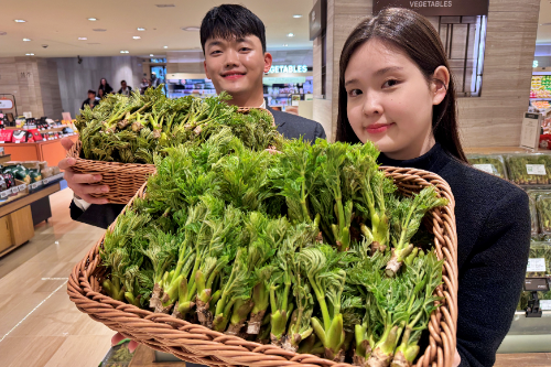 롯데백화점, 순창 햇 참두릅 판매
