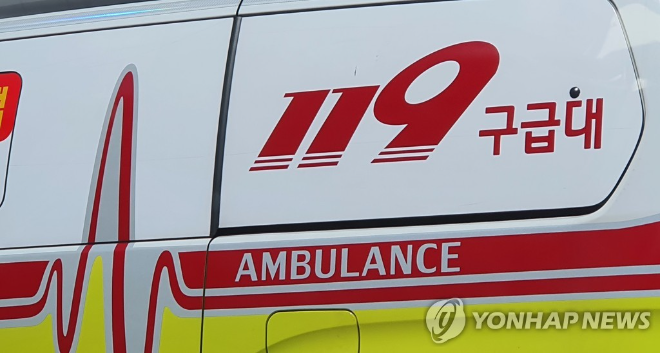119 구급대 전경. (사진=연합뉴스)