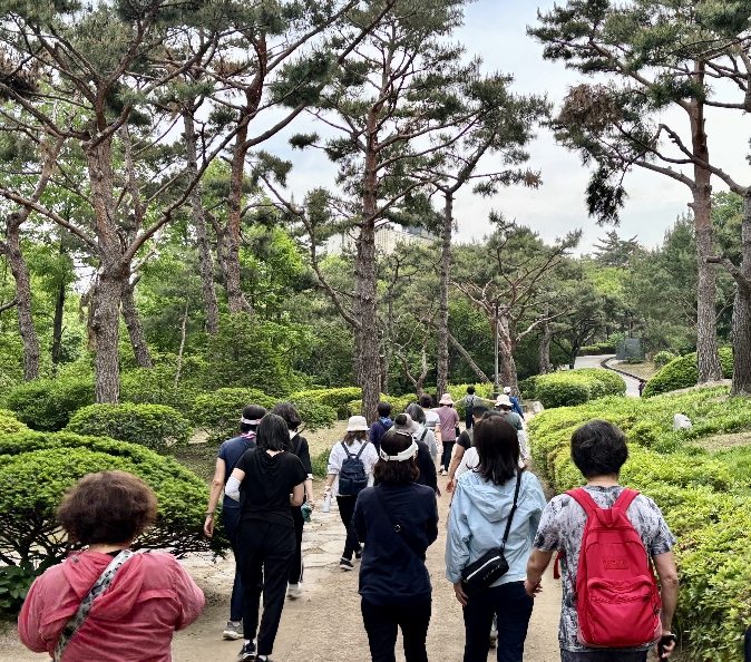 용산구민들이 남산공원 일대를 걸으며 걷기 활동에 참여하고 있다.