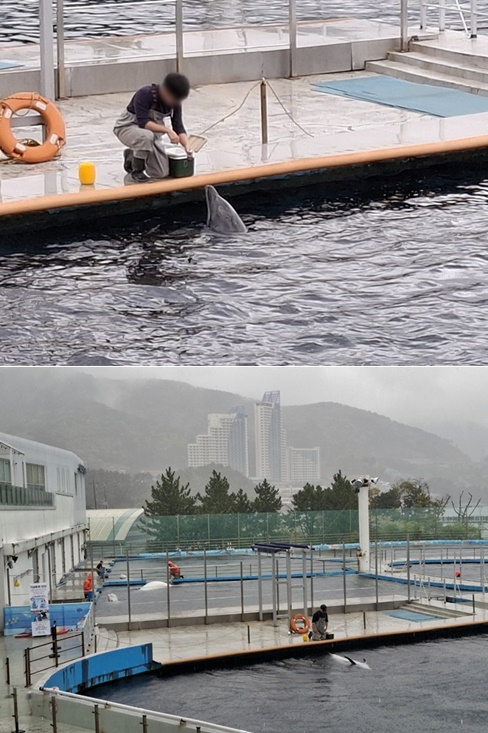 (사진제공=통영거제환경운동연합)