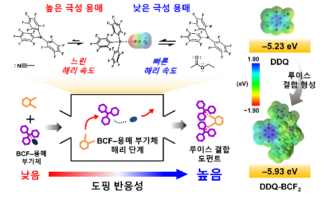용매의 극성에 따른 루이스 페어 도펀트의 형성 메커니즘.