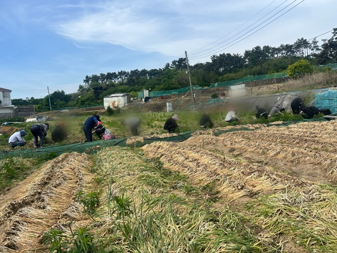 (사진제공=부산동부보호관찰소)