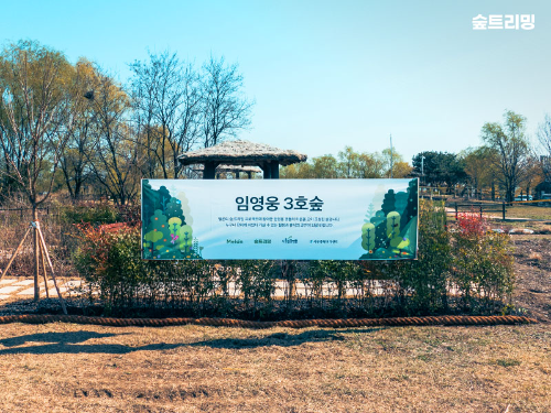 멜론, 팬 참여 기반 아티스트 숲 조성 확대