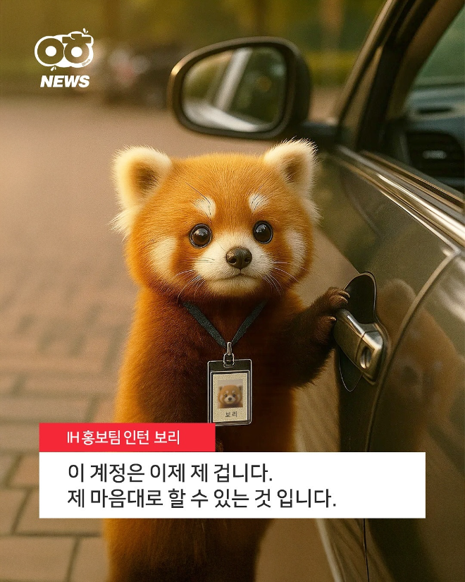일화 보리 전경. (사진=일화)