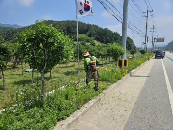 ▲임실군 강진면이 다가오는 현충일을 맞아 관내 주요 도로변의 풀베기 작업과 화단 정비를 전격 실시했다.(사진=임실군)