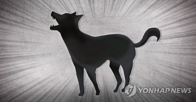 개 이미지.(사진=연합뉴스)