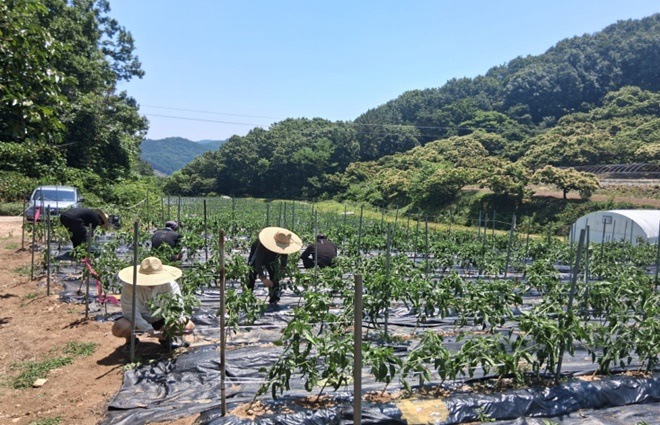 (사진제공=공주보호관찰소)