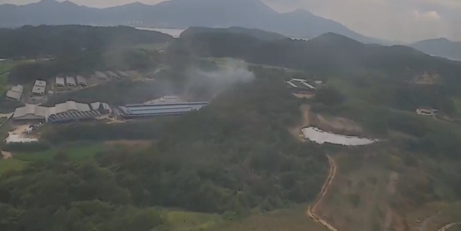 (사진제공=산림청)