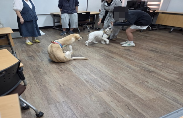 (사진제공=서울서부보호관찰소)