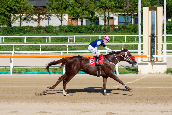 최강 국산마를 향한 2,000m 승부…제22회 대통령배(G1), 렛츠런파크 서울서 개최
