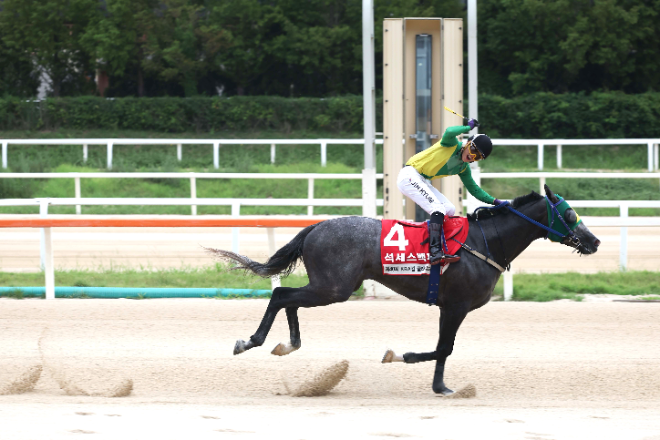 최강 국산마를 향한 2,000m 승부…제22회 대통령배(G1), 렛츠런파크 서울서 개최
