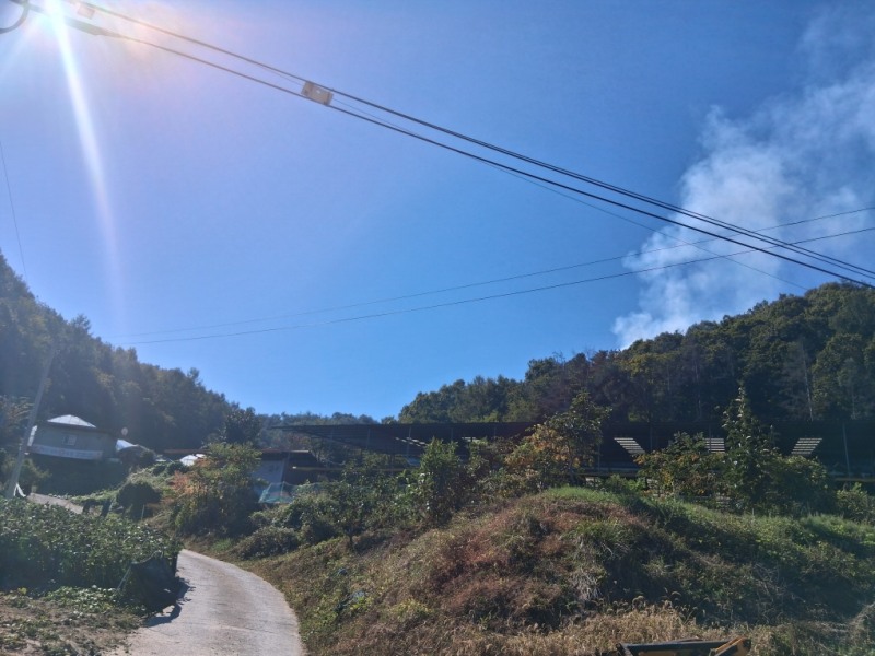 (사진제공=산림청)