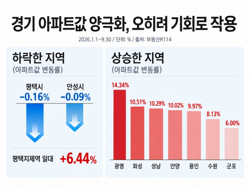 인포그래픽