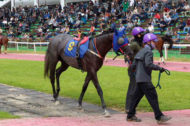 서울·부경서 제22회 농협중앙회장배(L)·제20회 김해시장배(L) 개최