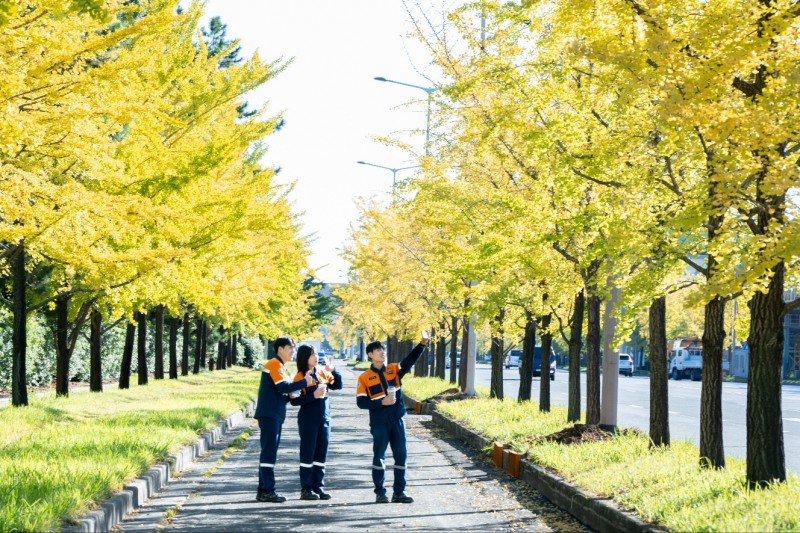 ▲광양제철소 임직원들이 은행나무 산책로에서 점심시간을 보내며 가을 정취를 만끽하고 있다(사진=광양제철소 제공)