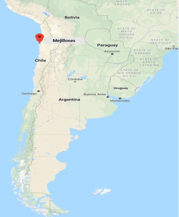 칠레 양극재공장 설립 위치. (사진=포스코)