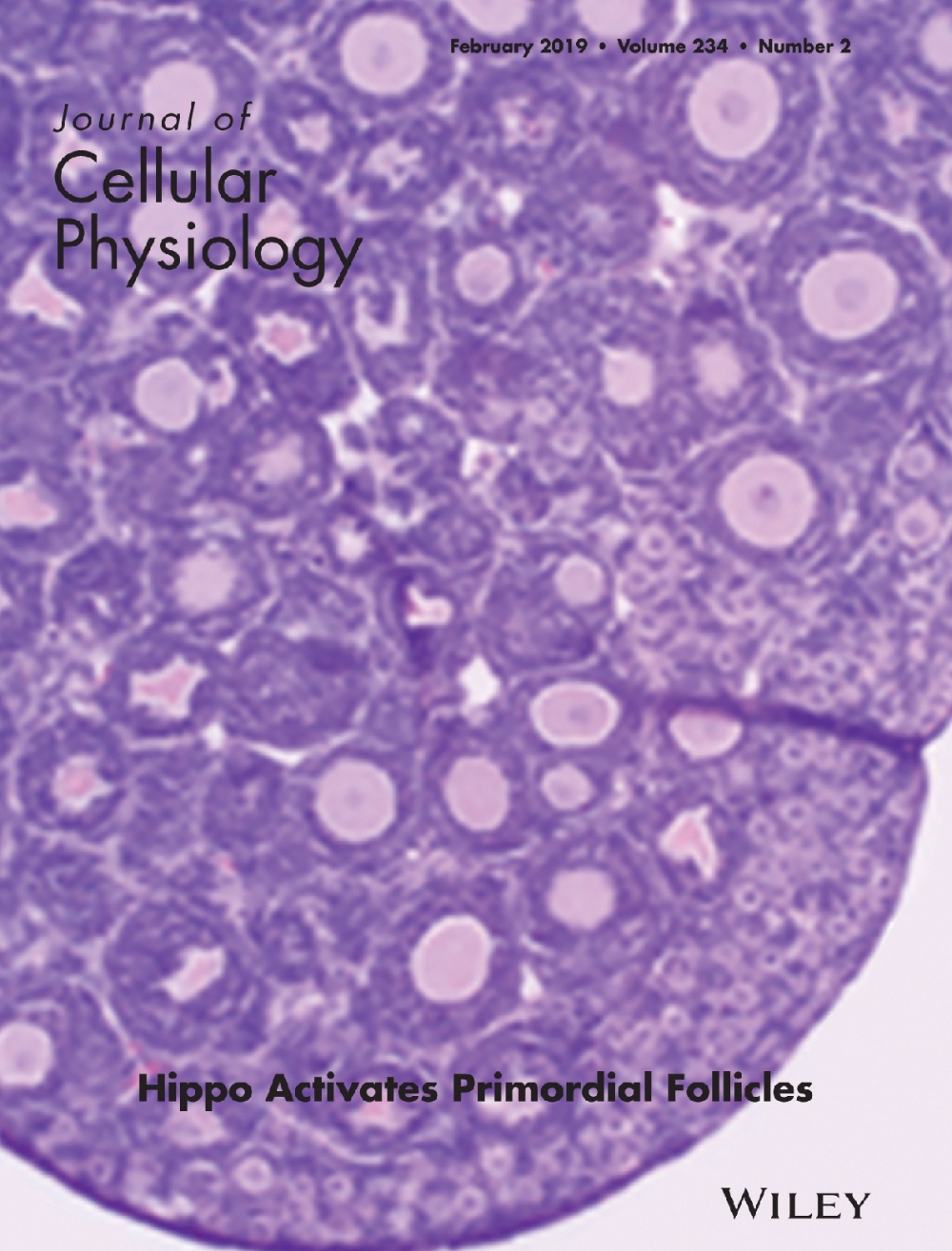 (사진=GC녹십자웰빙)
