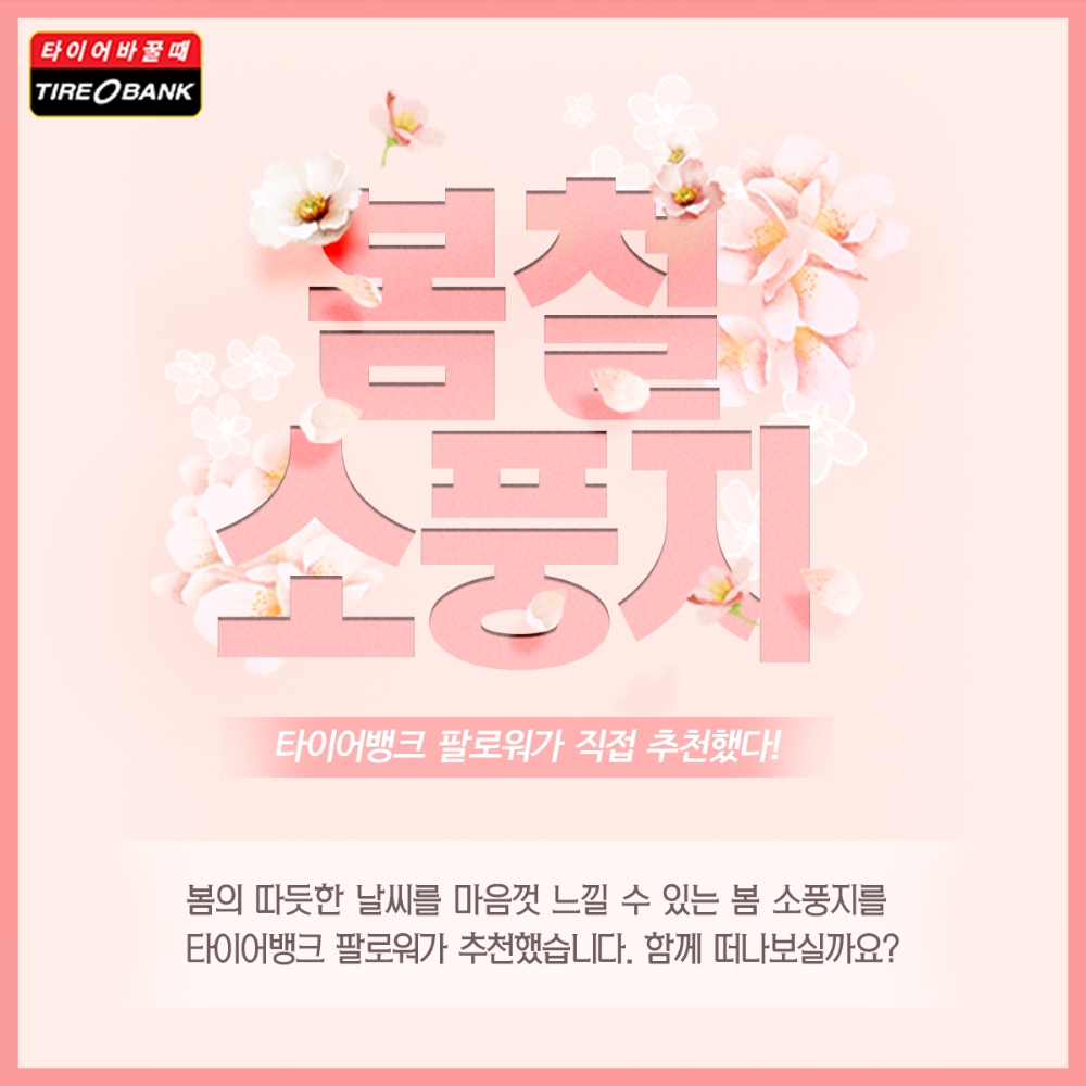 타이어뱅크, 고객 선정 ‘봄 소풍지’ BEST 발표