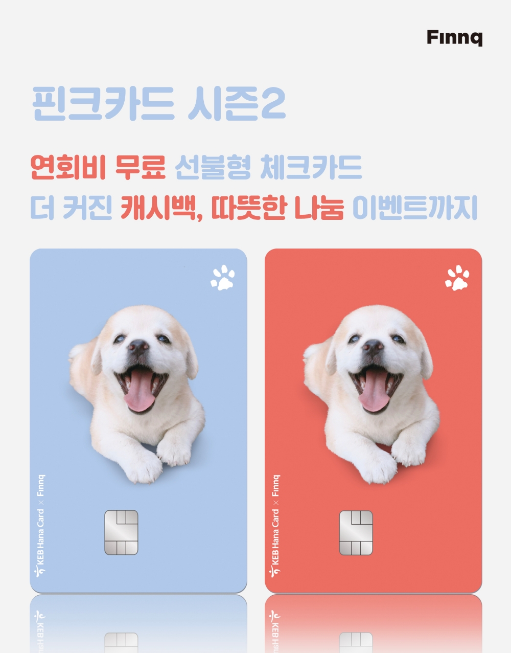 핀크, 핫스타견 ‘인절미’와 협업해 ‘핀크카드’ 시즌Ⅱ 출시