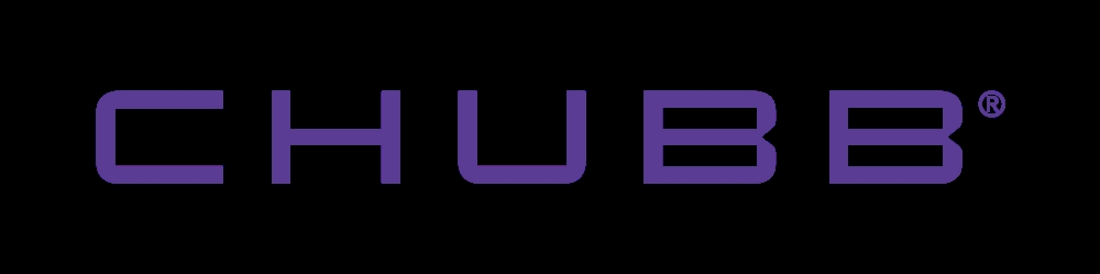 에이스손해보험, 강원도 산불 피해 이재민에 1천만원 기부