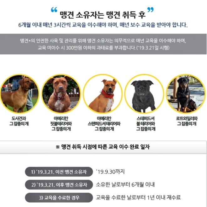 (사진=동물보호시스템)