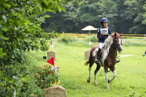 한국마사회가 오는 10월 2일까지 학생 승마선수를 모집한다. 사진=마사회