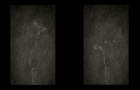 IBS가 미국화학회(ACS)와 공동 콘퍼런스를 국내 최초 개최한다. 사진은 양자나노과학 연구단이 주최한 미술 공모전 '양자의 세계' 1등 작품. 사진=IBS