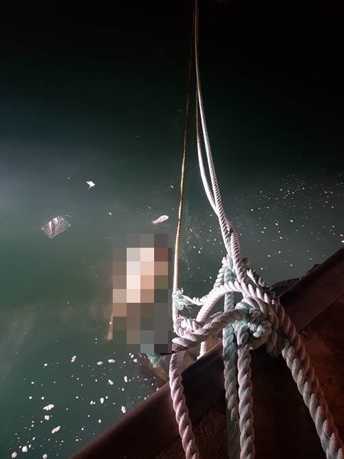 (사진제공=부산남부소방서)