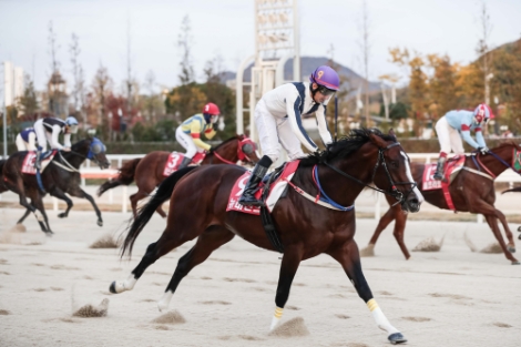 한국마사회는 지난 3일 열린 제16회 ‘대통령배’에서 김영관 조교사의 ‘뉴레전드’가 우승했다고 밝혔다. 사진=마사회
