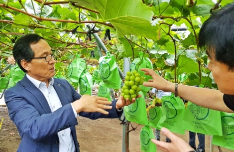 aT 이병호 사장의 경북 상주 샤인머스켓 농가 방문사진. 사진=aT