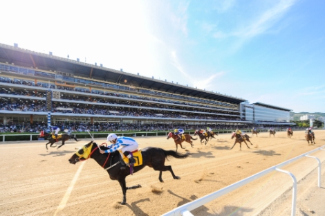 한국마사회, 2020년 경마시행계획 발표