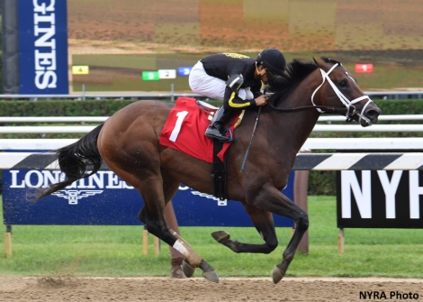 케이닉스(K-NICKS) 경주마 ‘미스터크로우(Mr. Crow)’. 사진=마사회